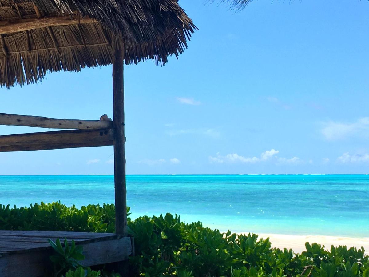 Driftwood Beach Lodge Jambiani  Esterno foto