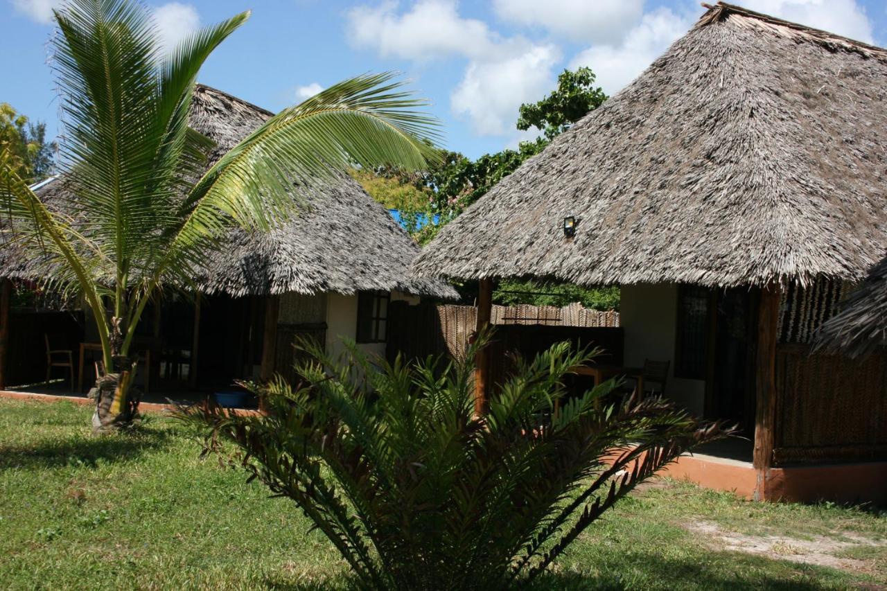 Driftwood Beach Lodge Jambiani  Esterno foto