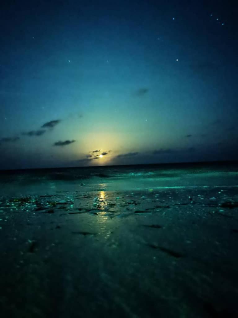 Driftwood Beach Lodge Jambiani  Esterno foto