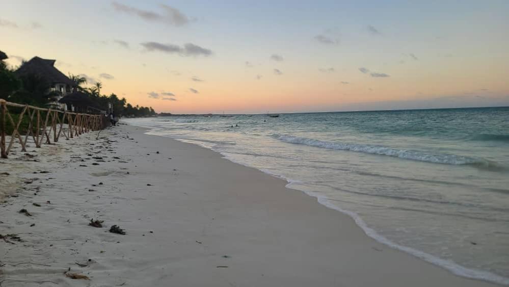 Driftwood Beach Lodge Jambiani  Esterno foto