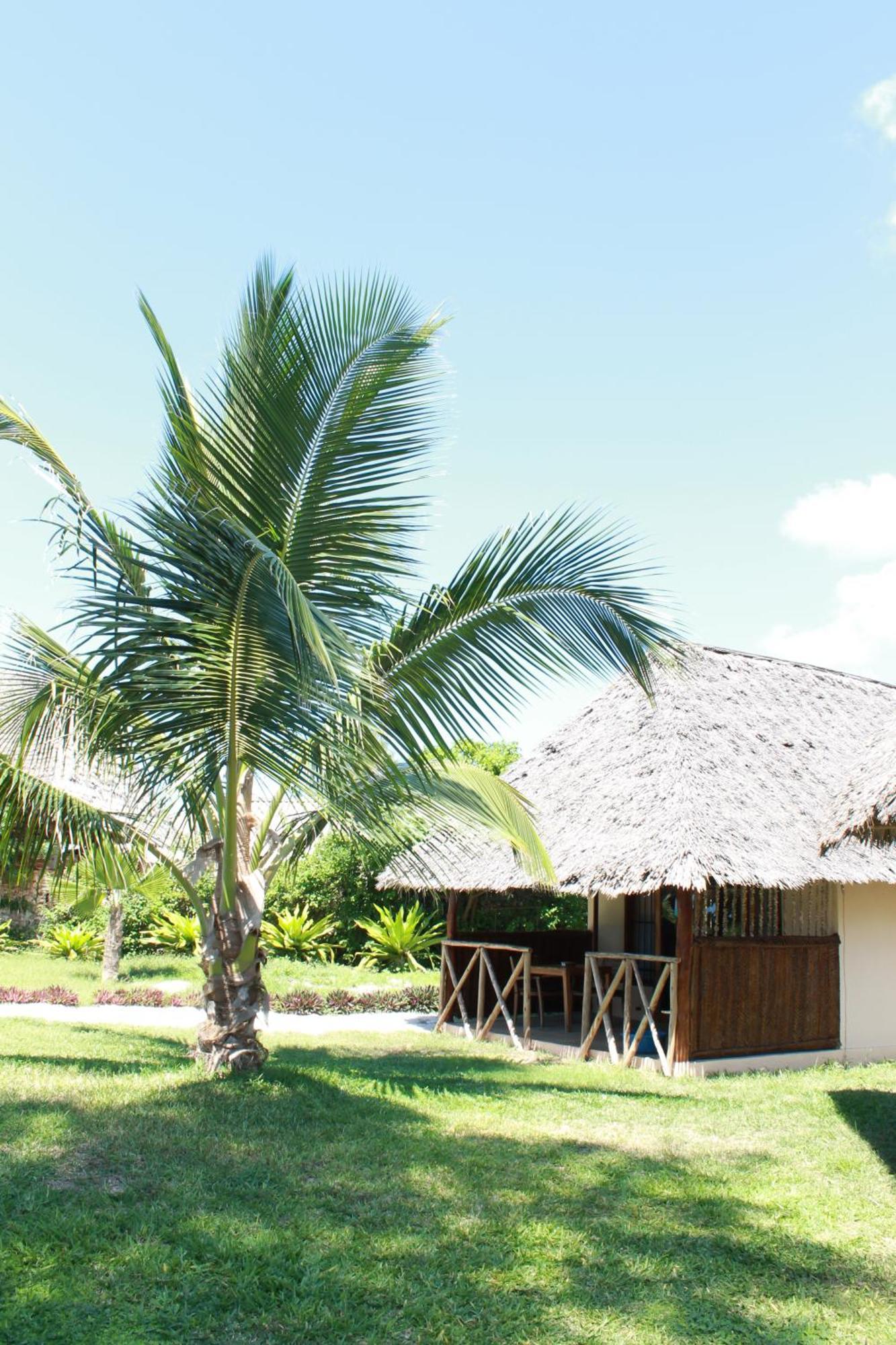 Driftwood Beach Lodge Jambiani  Esterno foto