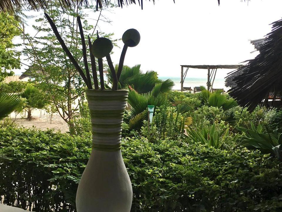 Driftwood Beach Lodge Jambiani  Esterno foto