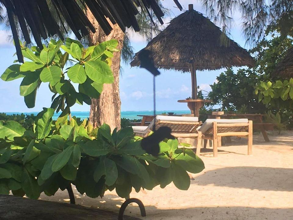 Driftwood Beach Lodge Jambiani  Esterno foto