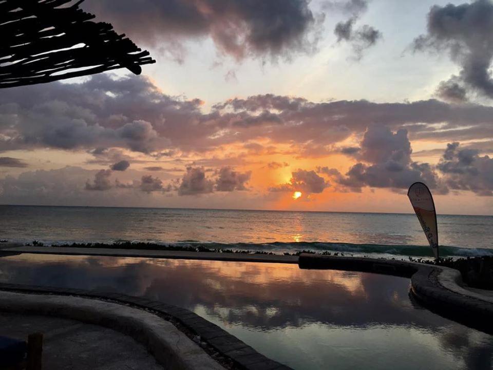 Driftwood Beach Lodge Jambiani  Esterno foto