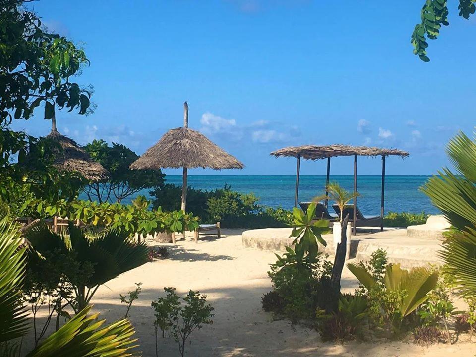 Driftwood Beach Lodge Jambiani  Esterno foto